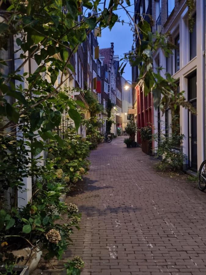 Here'S Lucy Amsterdam Luaran gambar
